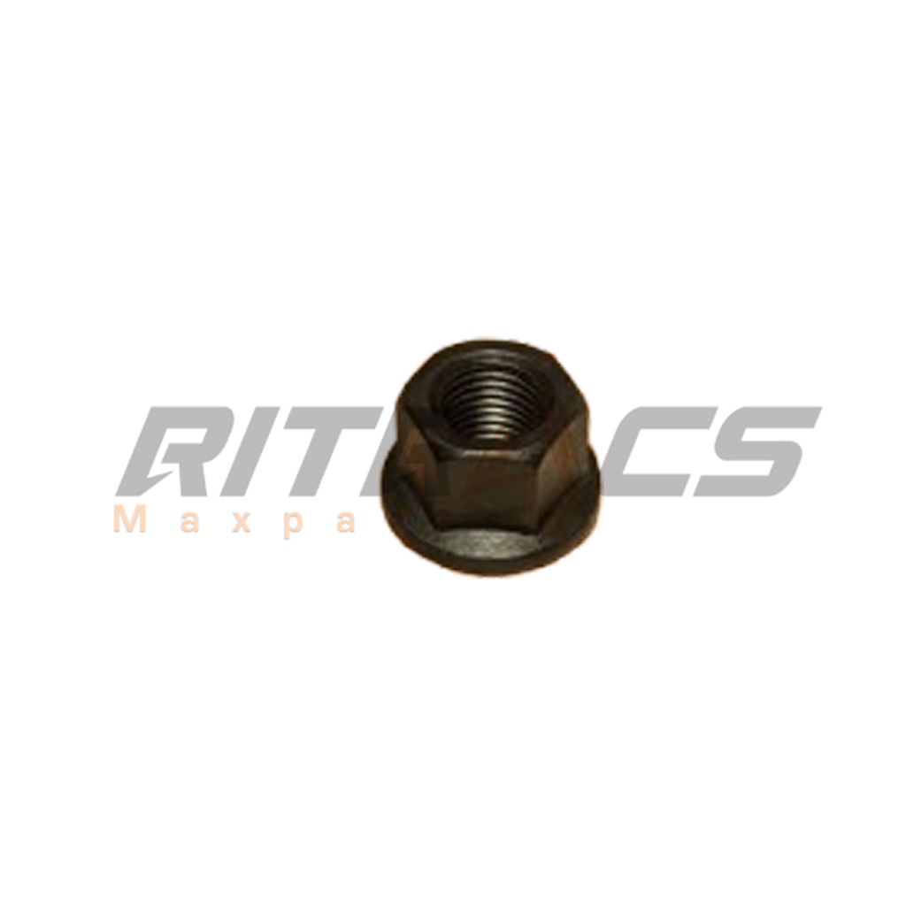 [A210314000007] Nut